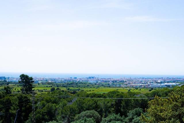 Panorámica
