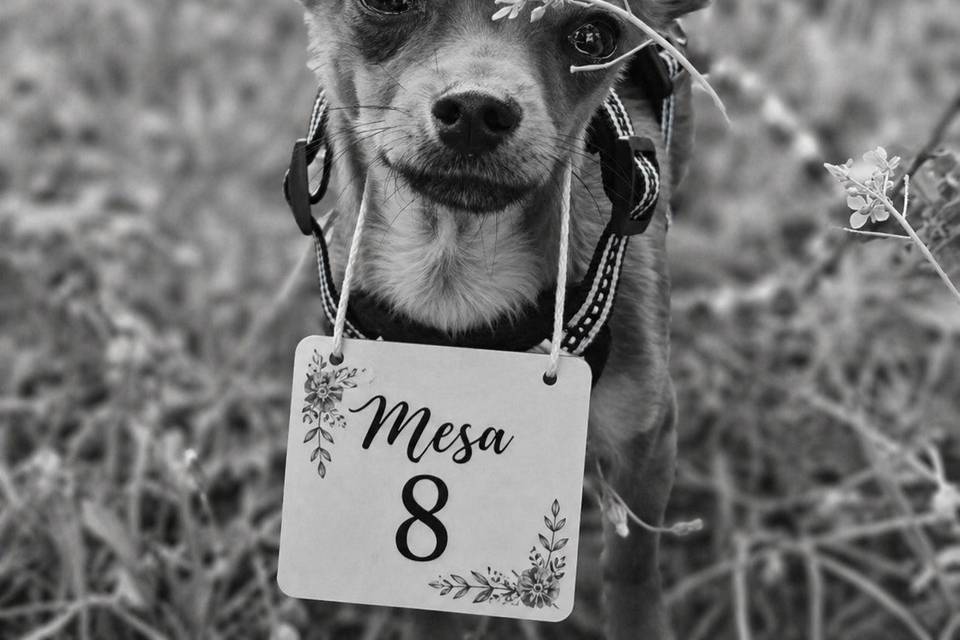 Mesas