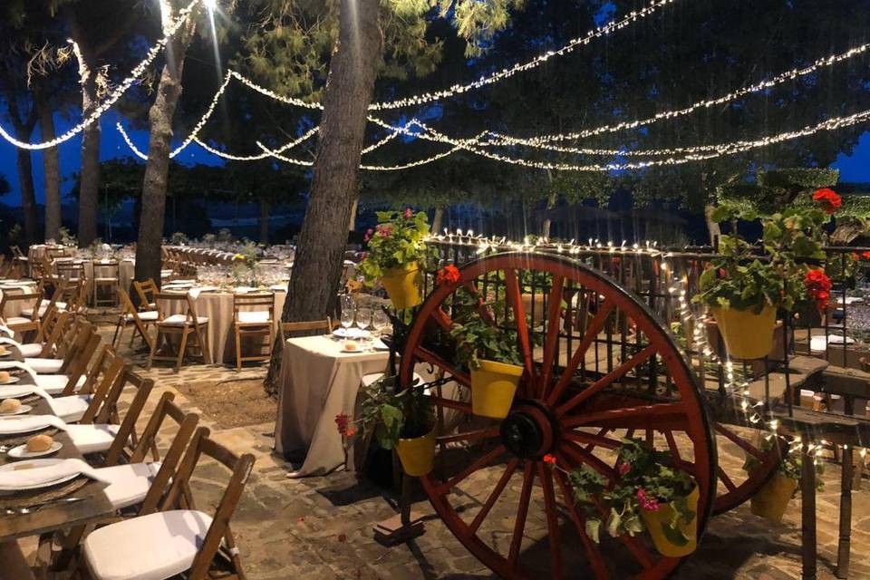 Detalles finca