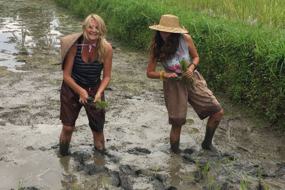 Conociendo el Bali agrícola