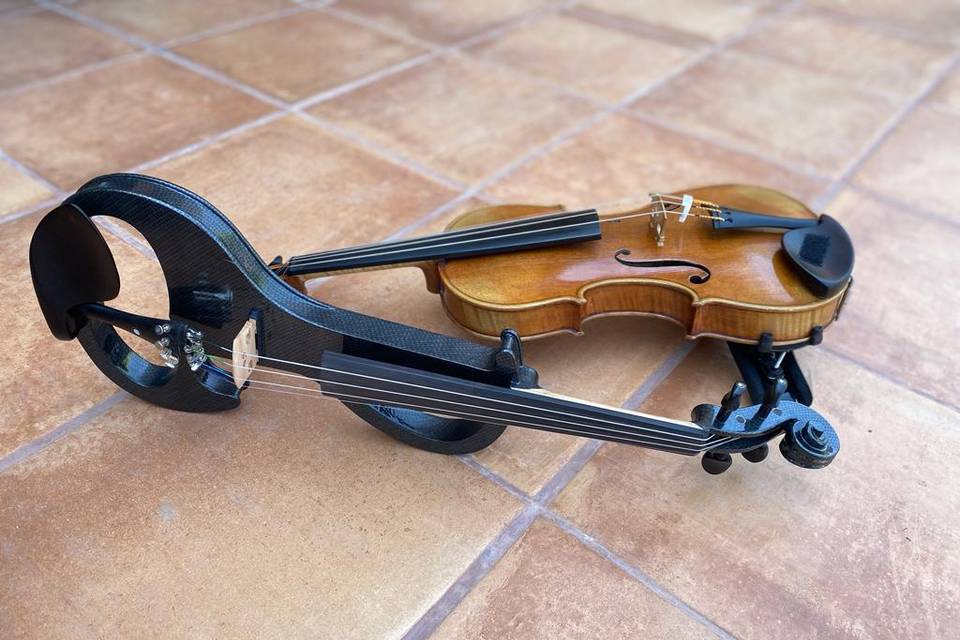 Violines