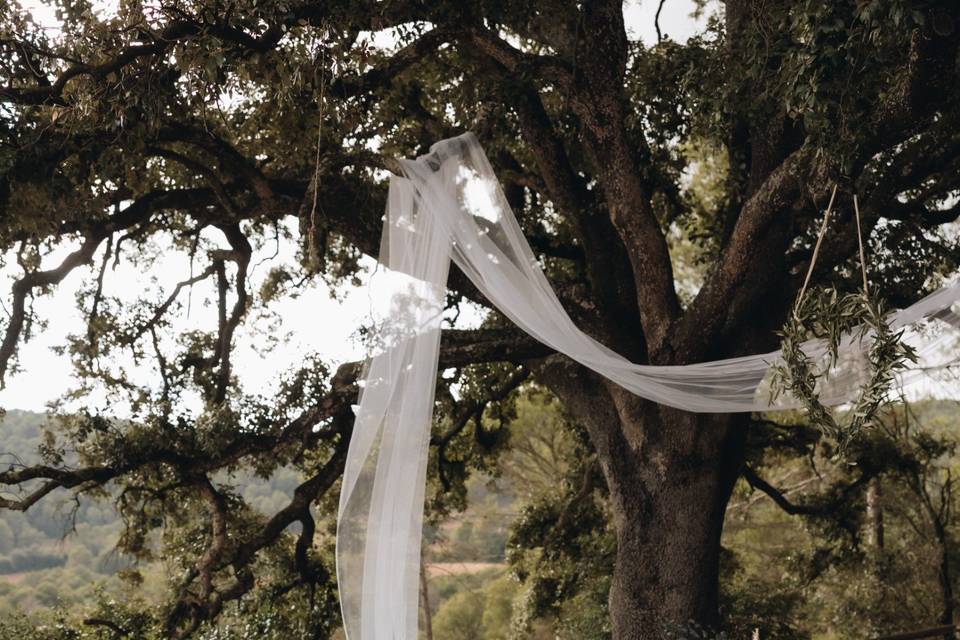 Boda en el campo