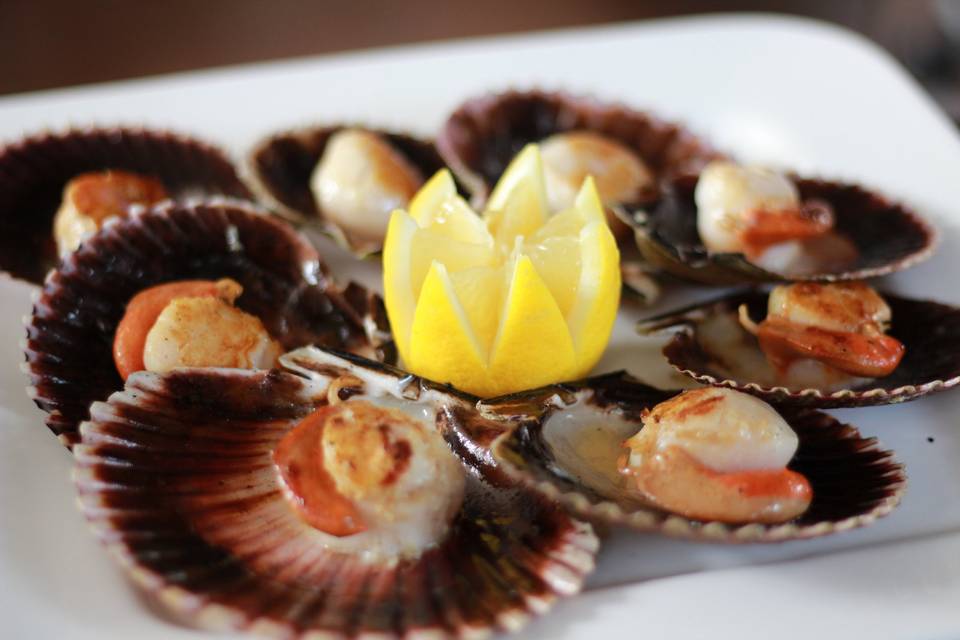 Hotel cosmopol mariscos