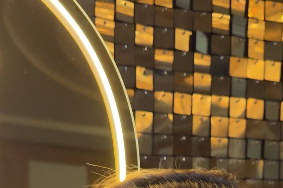 Diaeñl