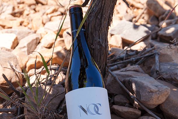 Botella en viñedo
