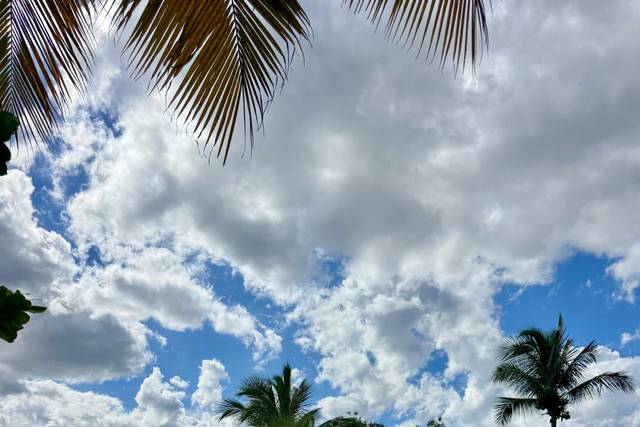 Luna de Miel en Punta Cana