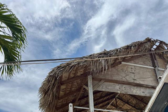 Isla Saona