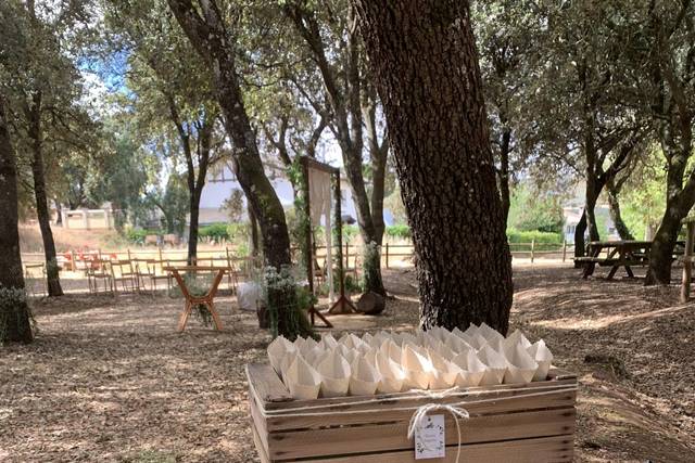 Conos de lavanda
