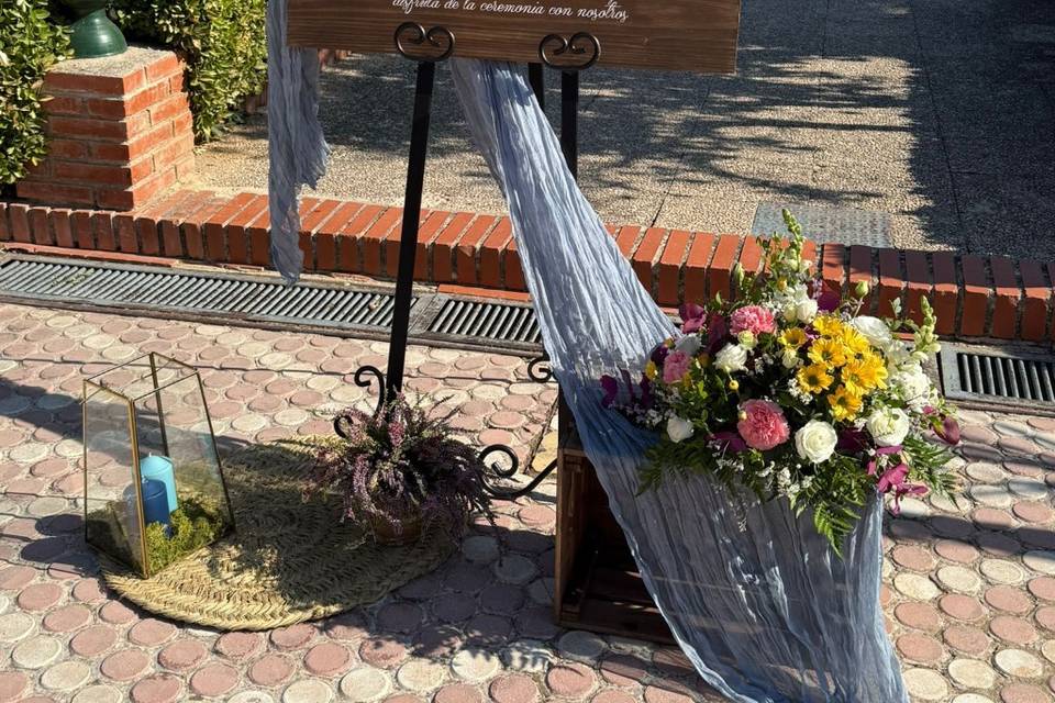 Bienvenidos