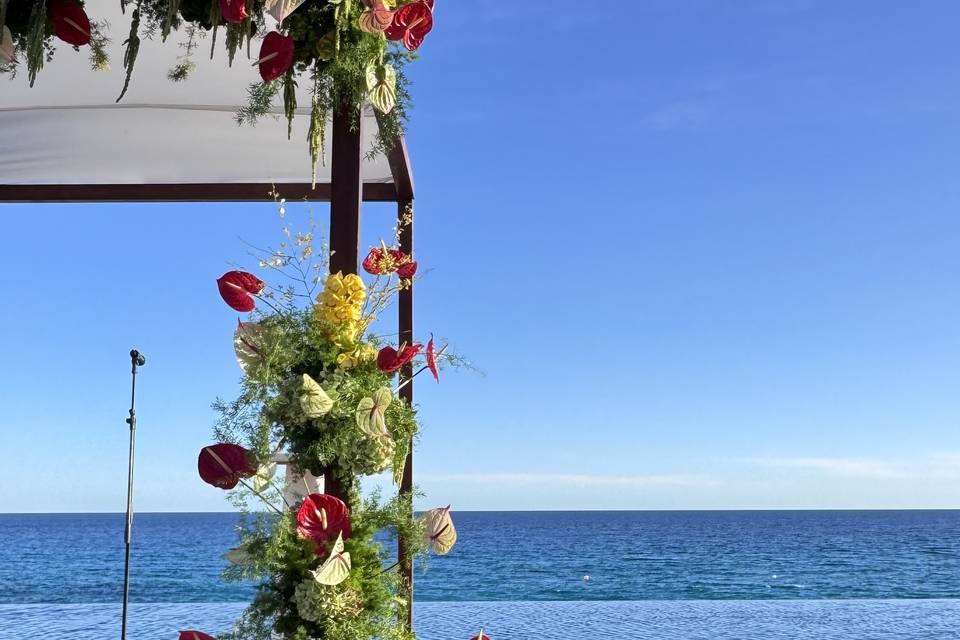 Boda