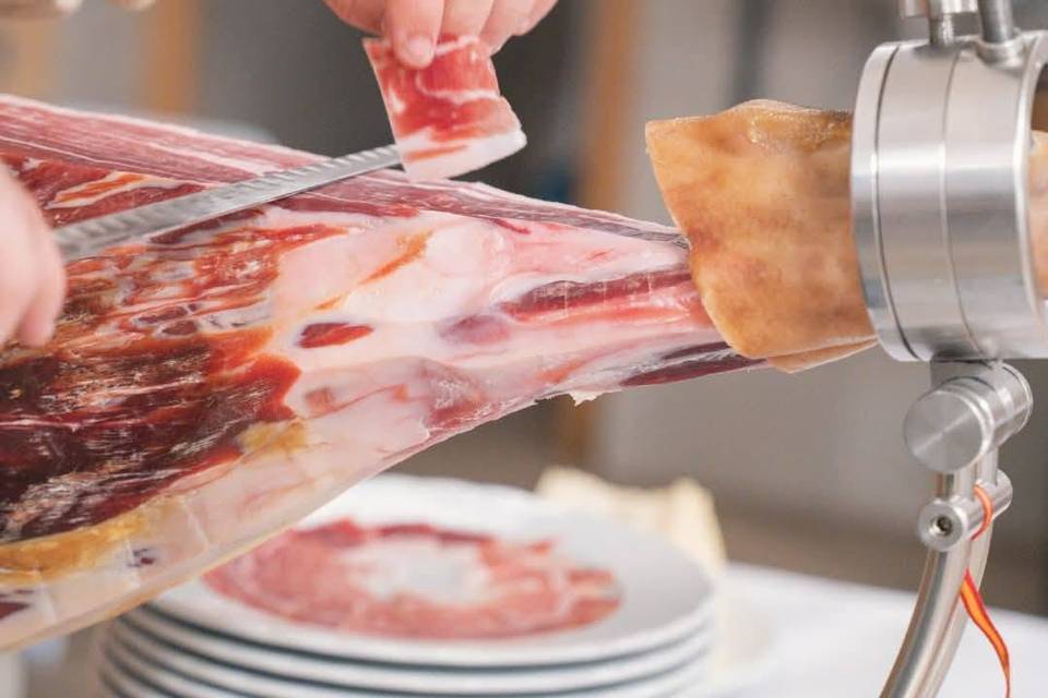Cirugía del Jamón