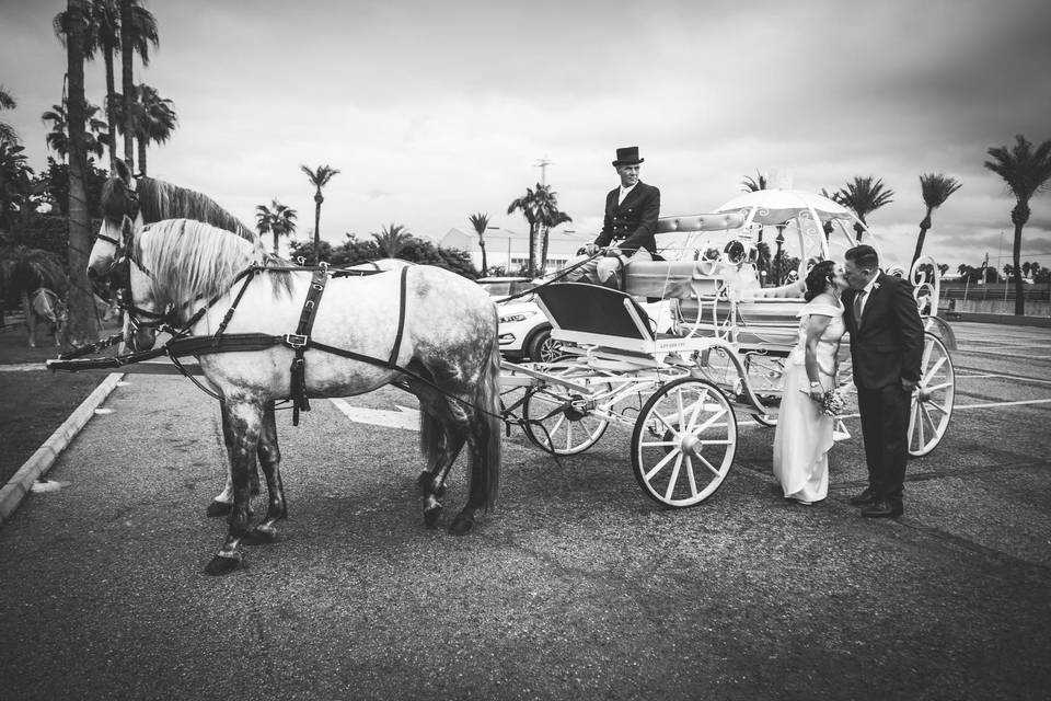 Coche de caballos