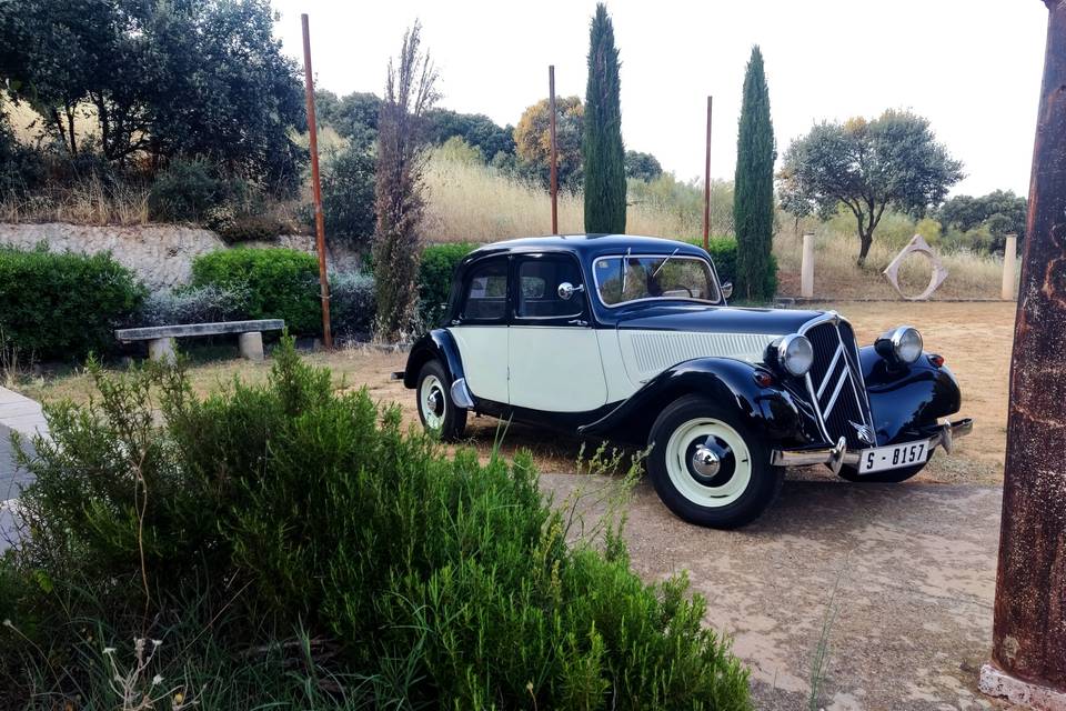 Elegancia