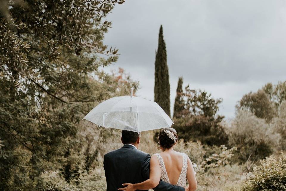 Boda entre viñedos