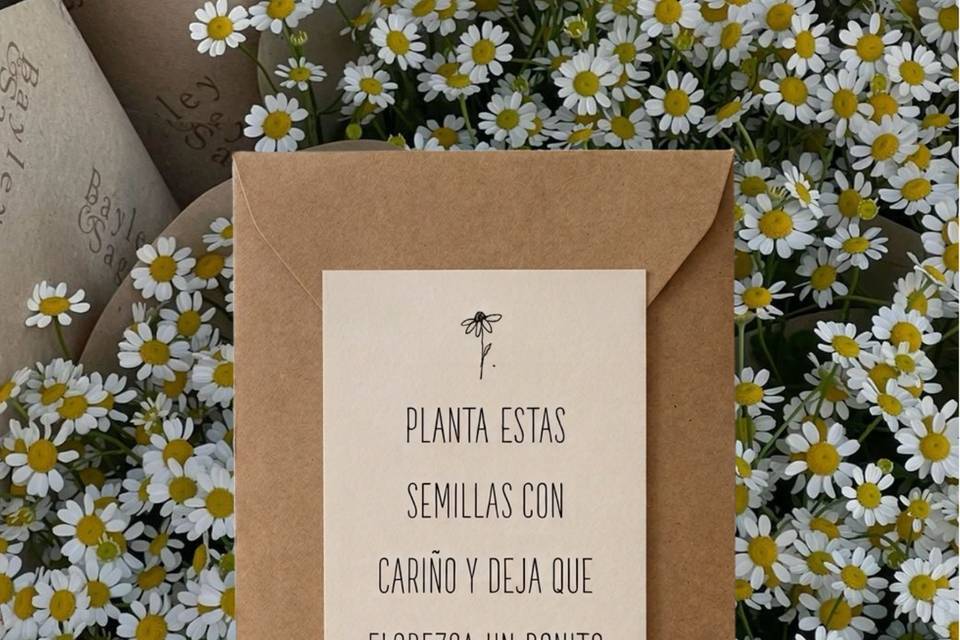 Sobre Decorativo Invitación