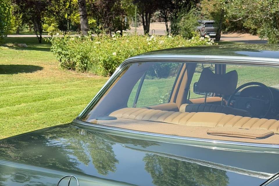 Mercedes w116
