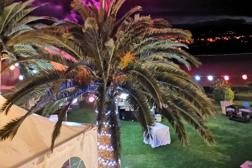 Fiesta en el jardín