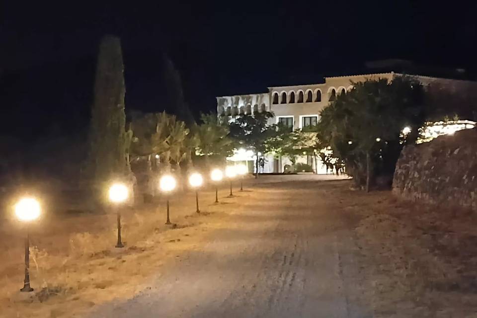 Entrada nocturna