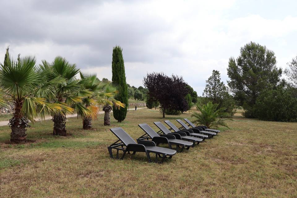 Zona hamacas