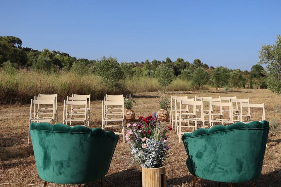 Boda entre olivos