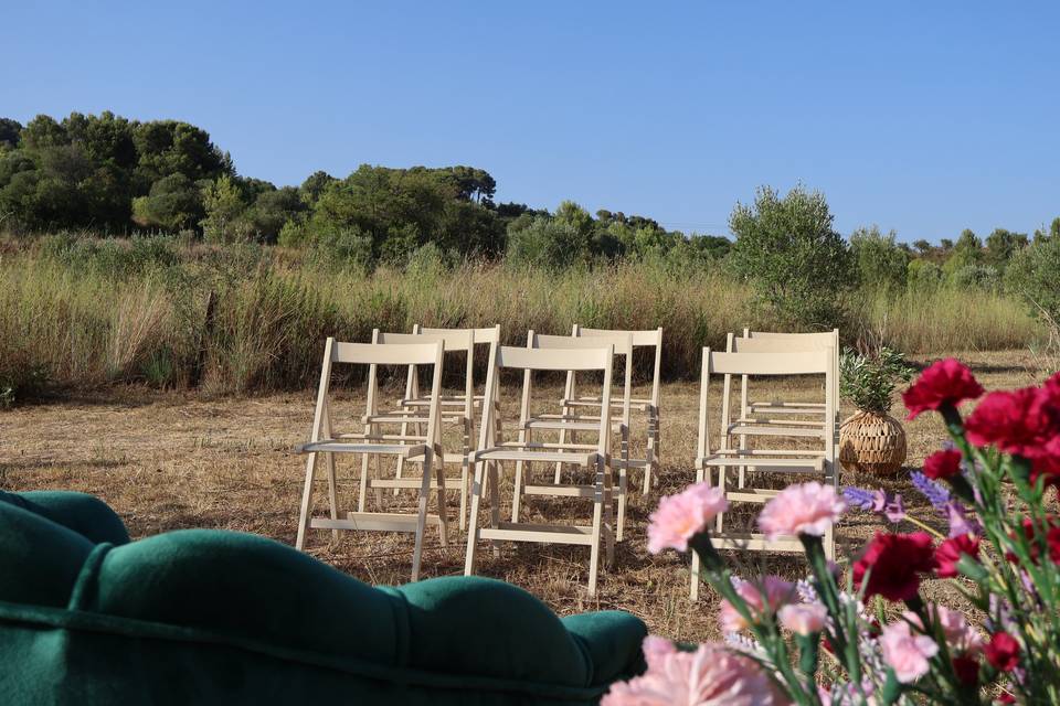Boda entre olivos
