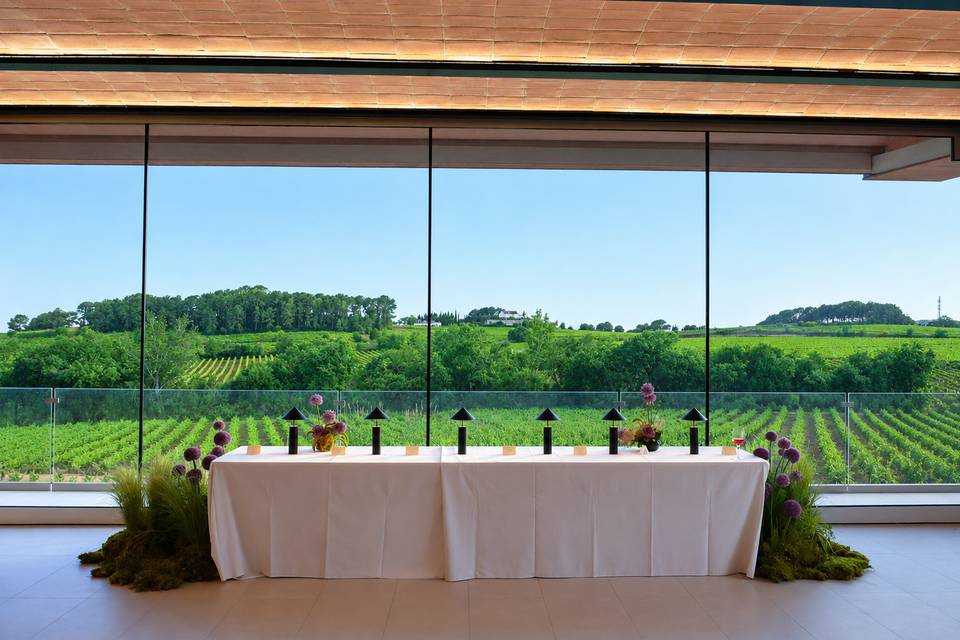 Views Salón