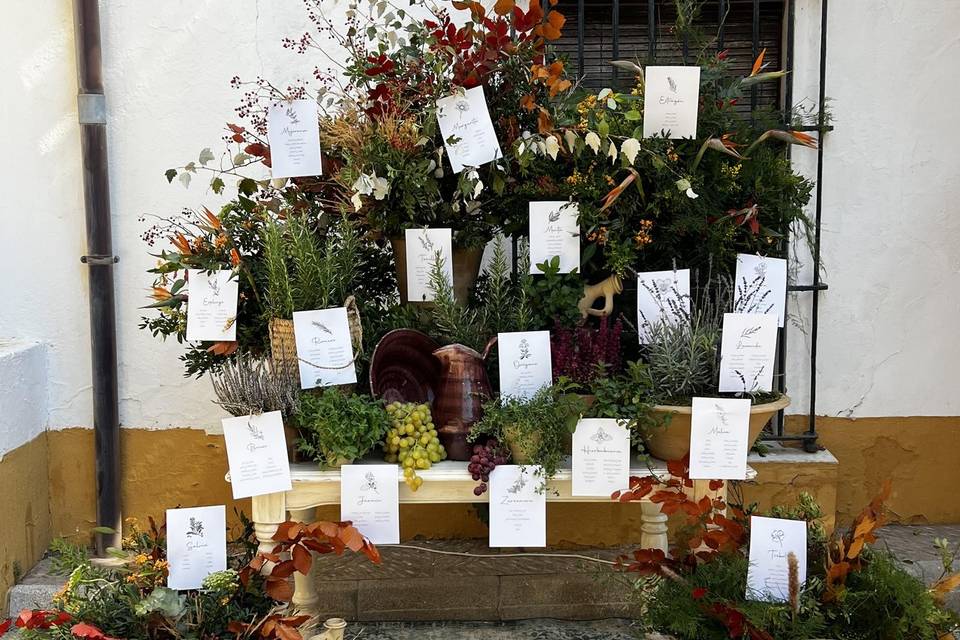 Seating Plan