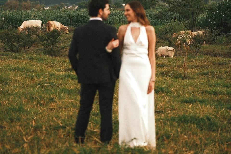 Ari & Efra