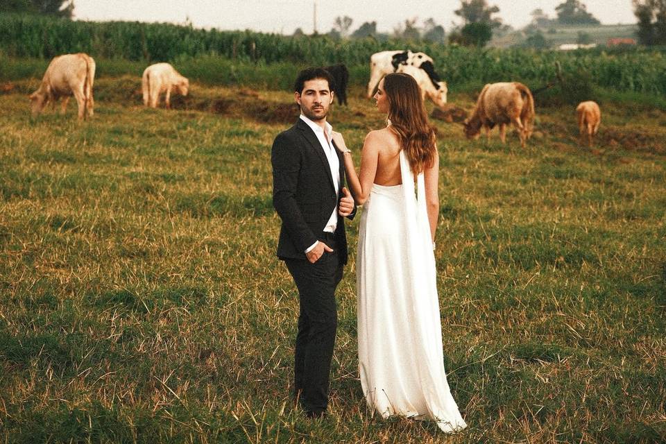 Ari & Efra