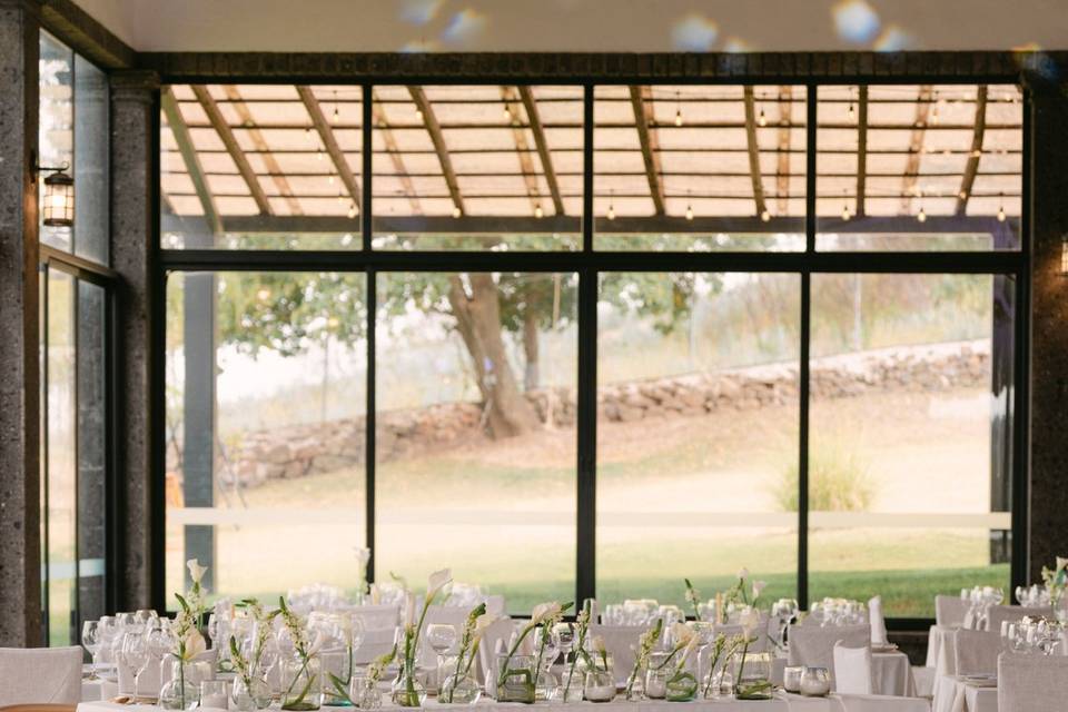 Irazu & Alfredo | Wedding MX