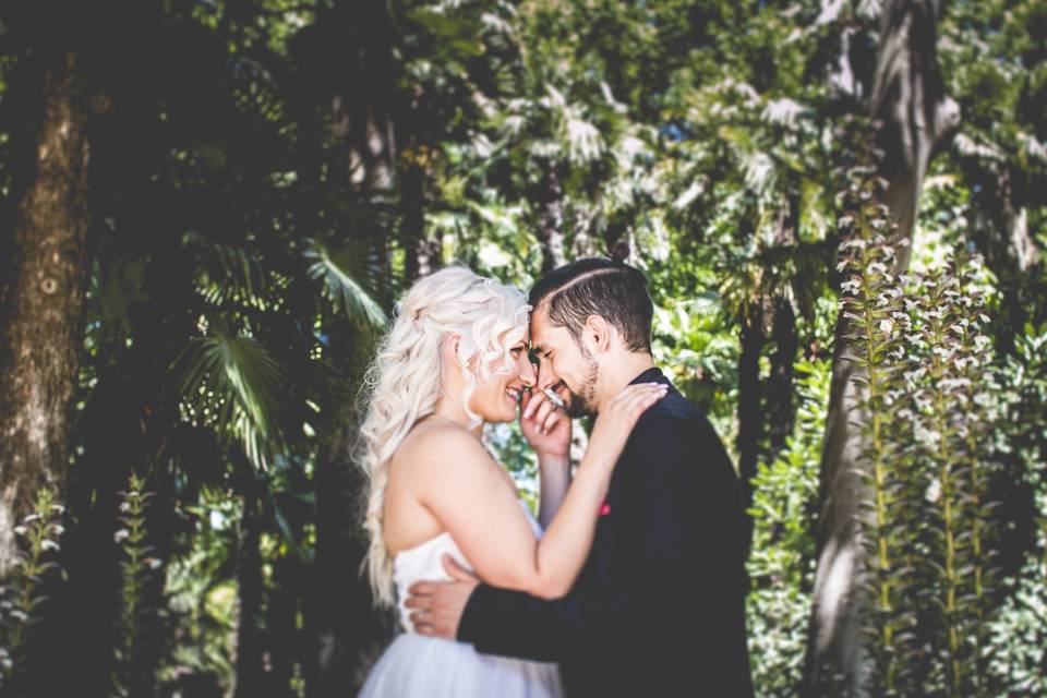 Boda en Sevilla