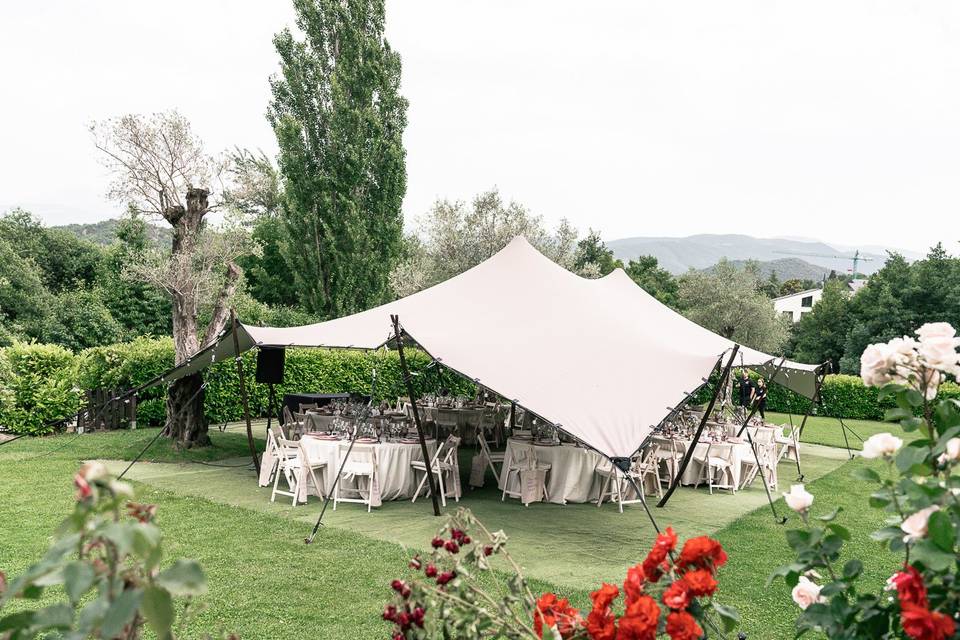 Carpa
