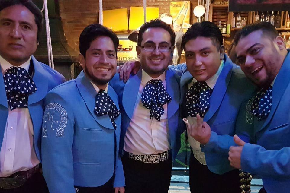 Formación