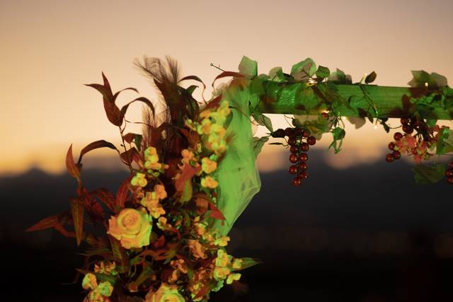 Decorado