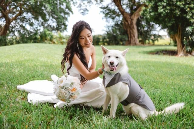Novia con su mascota