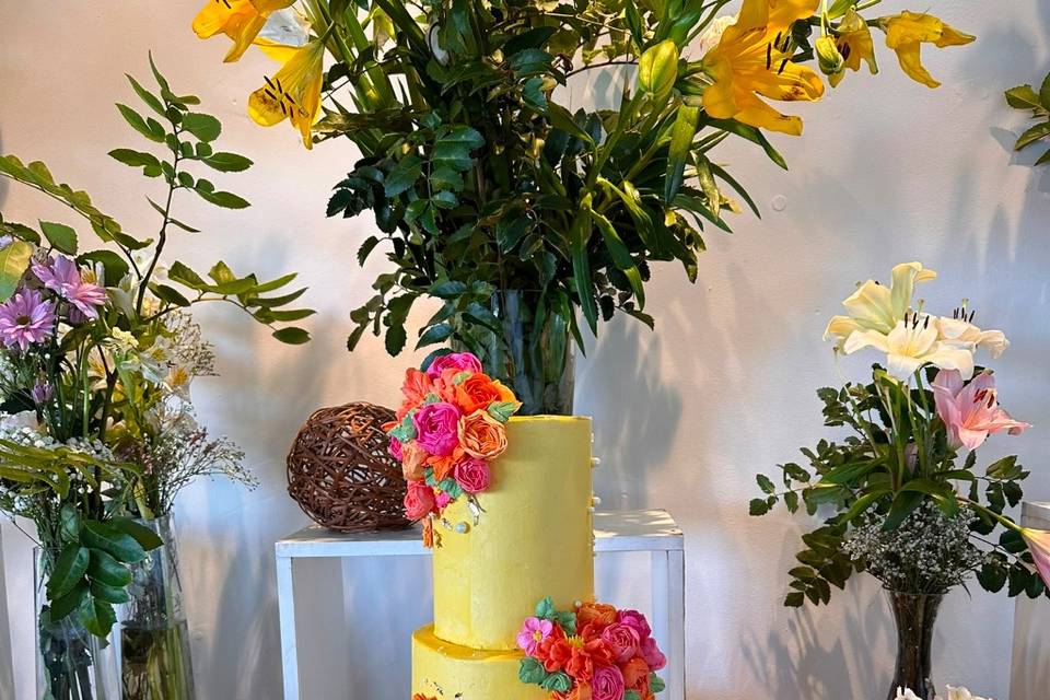 Tarta Frida