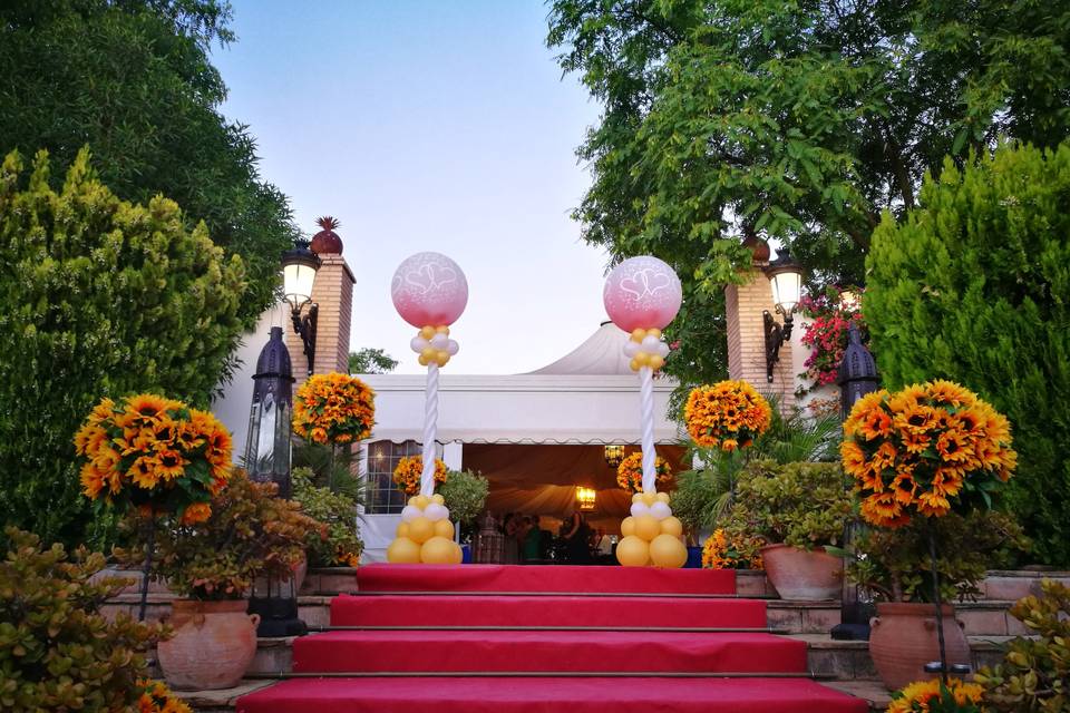 Global Animación & Eventos