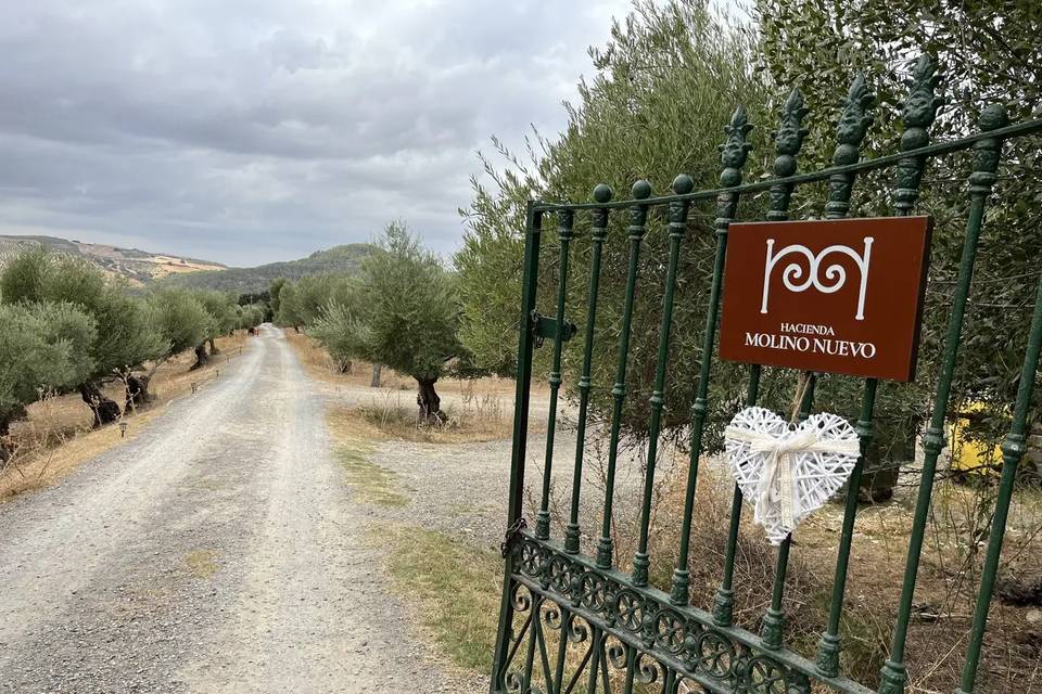 Entrada a Hacienda Molino Nuev