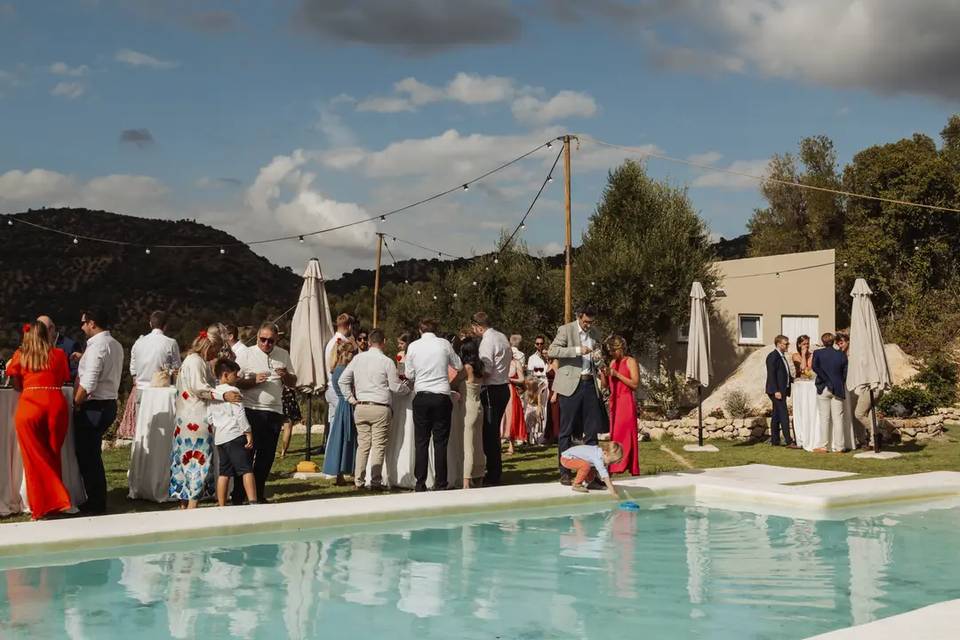 Fiesta en la piscina