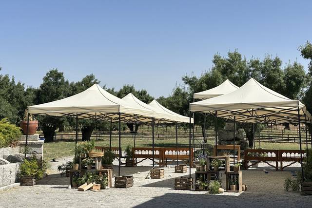 Finca Canalejas