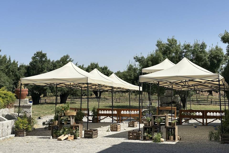 Finca Canalejas