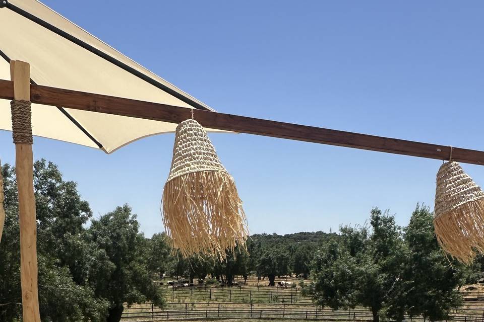 Finca Canalejas