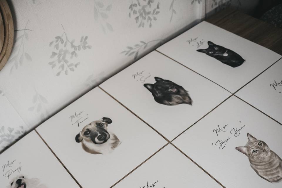 Desamarte Studio