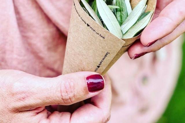 Conos