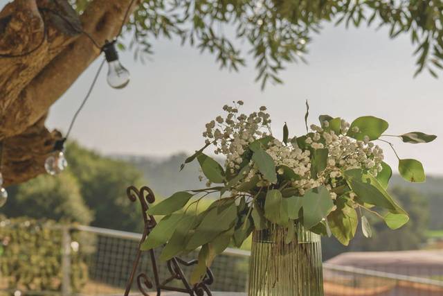 Finca Casa Barqueiro