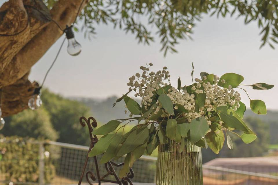 Finca Casa Barqueiro