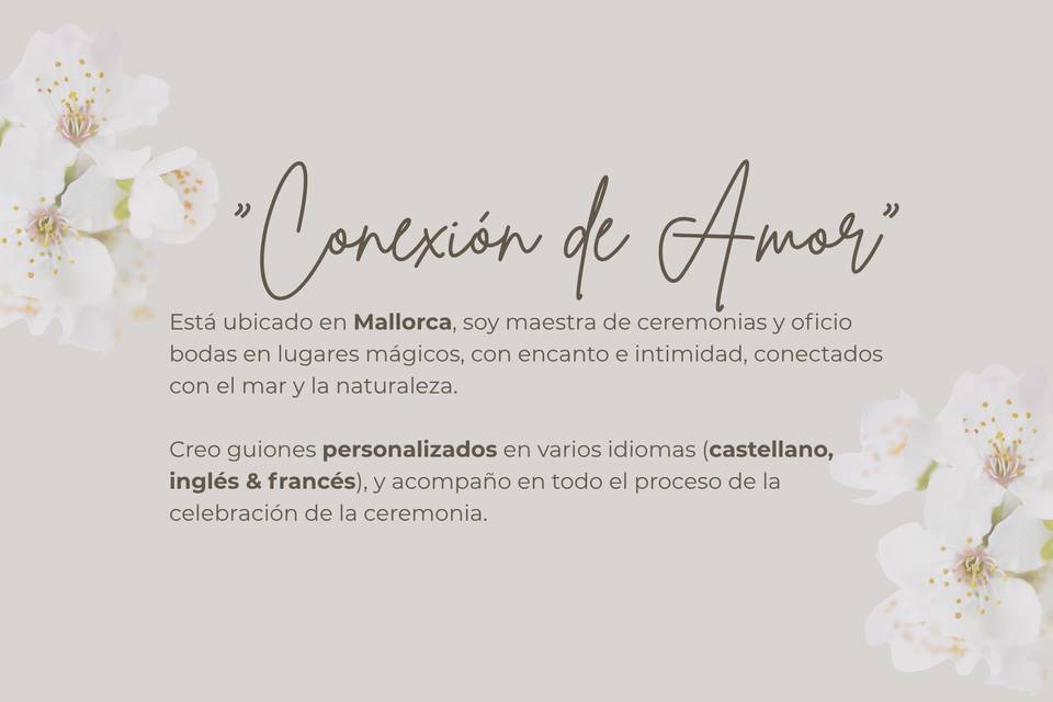 Conexión de amor por Anna Sala