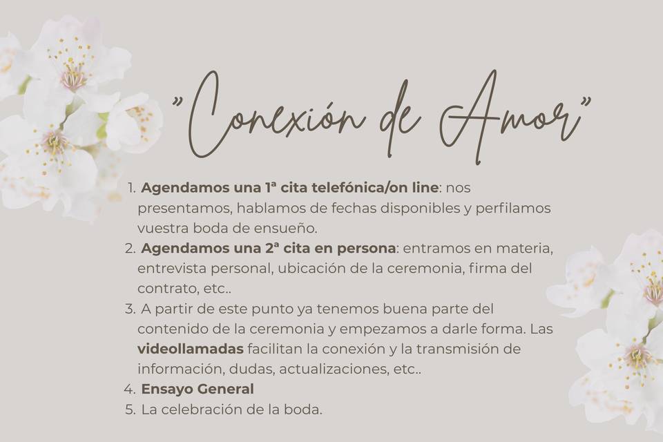 Conexión de amor por Anna Sala