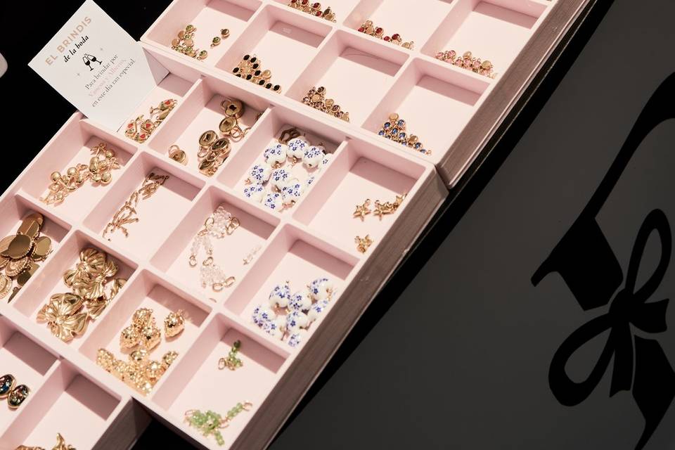 Gran variedad de charms