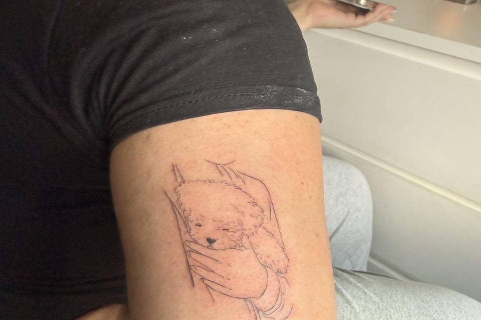 Dibujo
